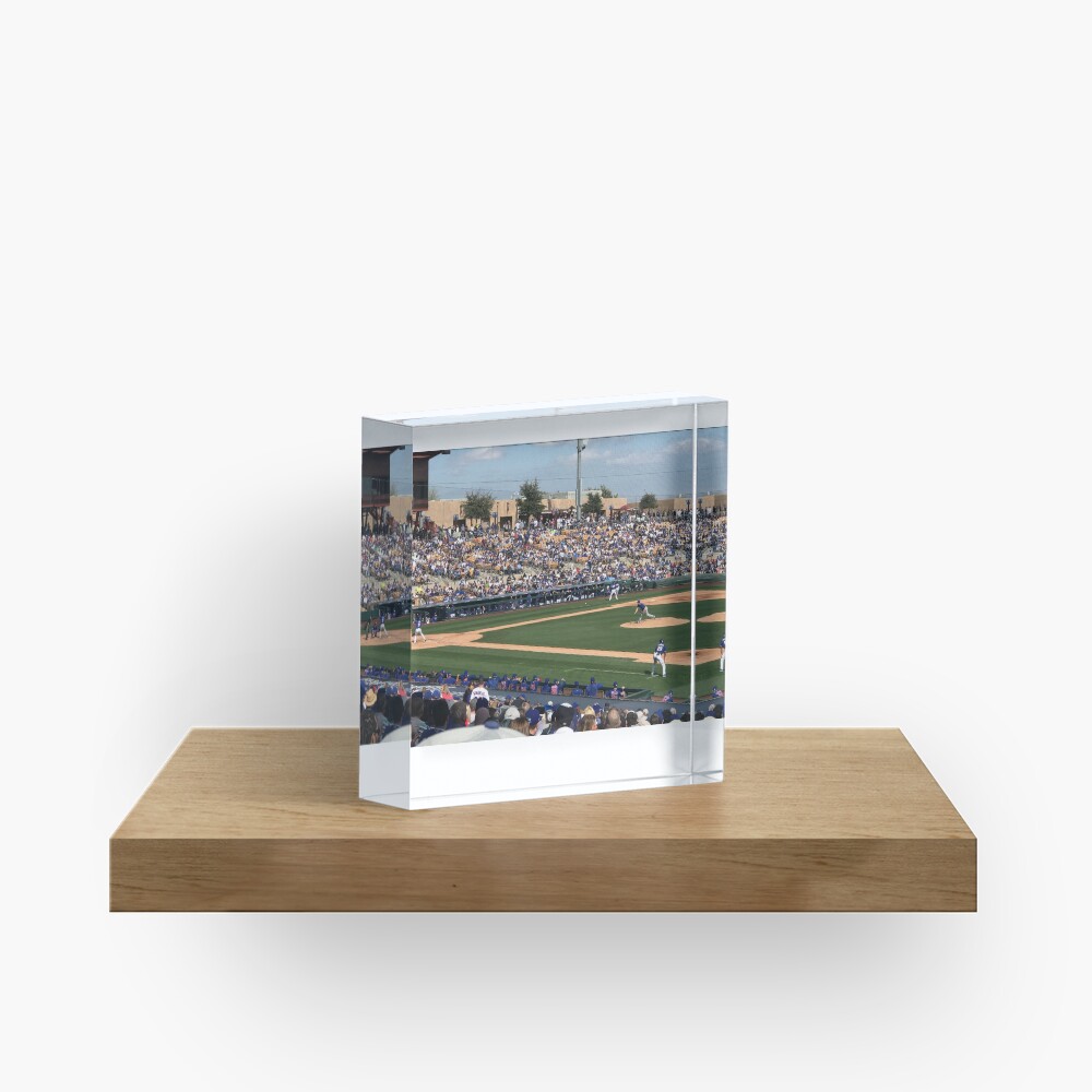 Item preview, Acrylic Block designed and sold by JoeySkamel.