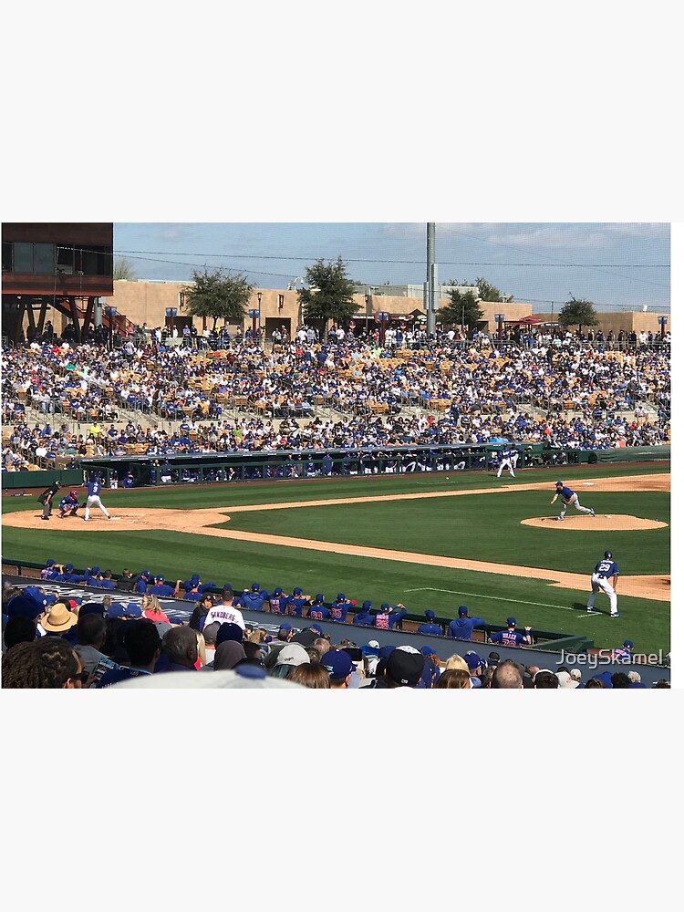 2020 Cubs Spring Training by JoeySkamel