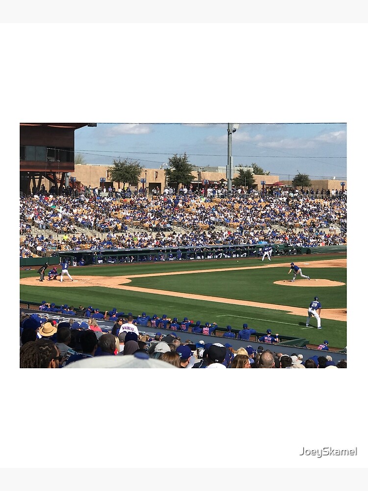 2020 Cubs Spring Training by JoeySkamel
