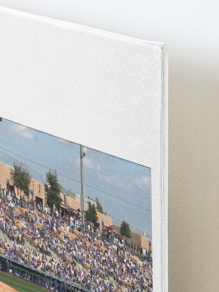 Alternate view of 2020 Cubs Spring Training Mounted Print