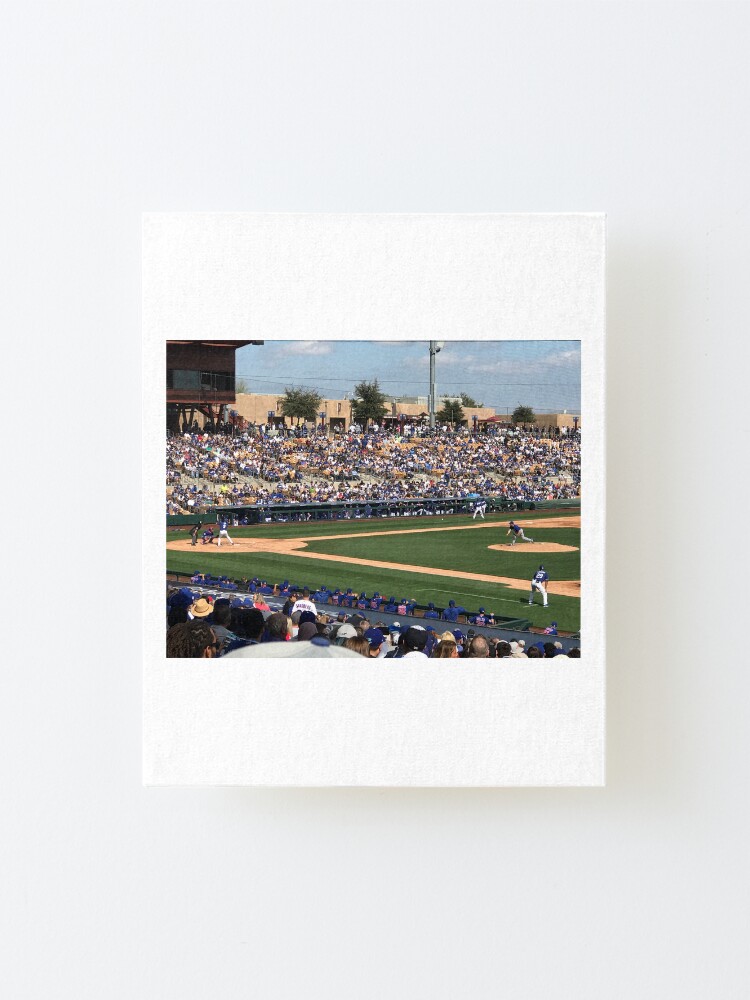 Alternate view of 2020 Cubs Spring Training Mounted Print