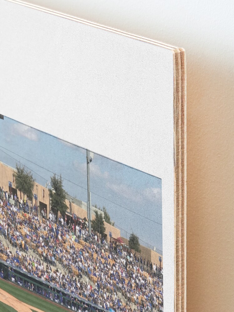 Alternate view of 2020 Cubs Spring Training Mounted Print