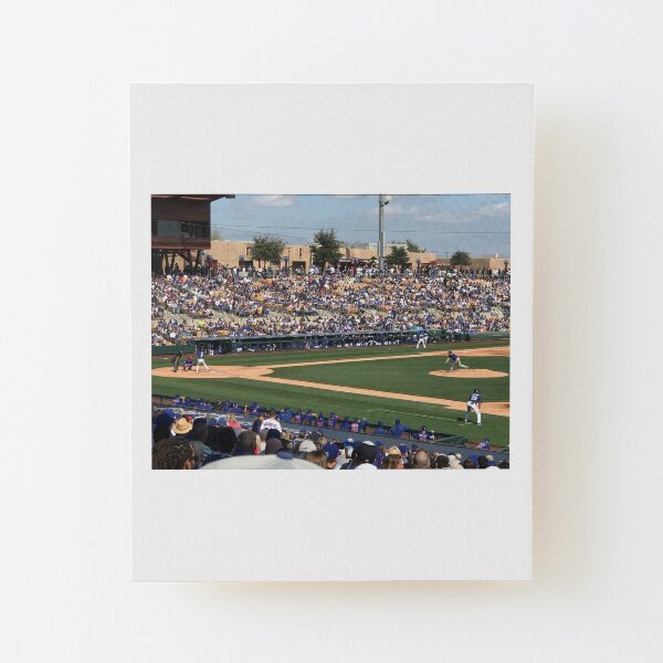2020 Cubs Spring Training Wood Mounted Print