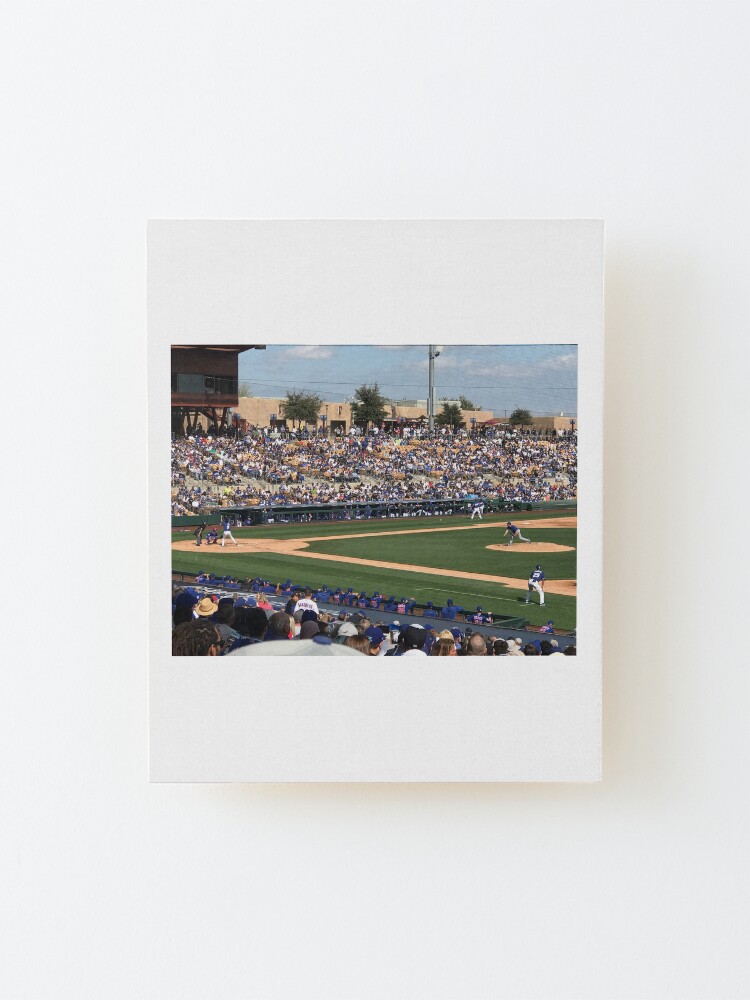 Alternate view of 2020 Cubs Spring Training Mounted Print