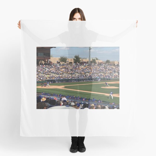 2020 Cubs Spring Training Scarf