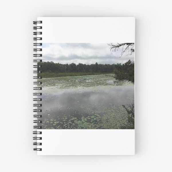 Artikelvorschau, Pinery im Sommer # 1 entworfen und verkauft von MsMoxie87.