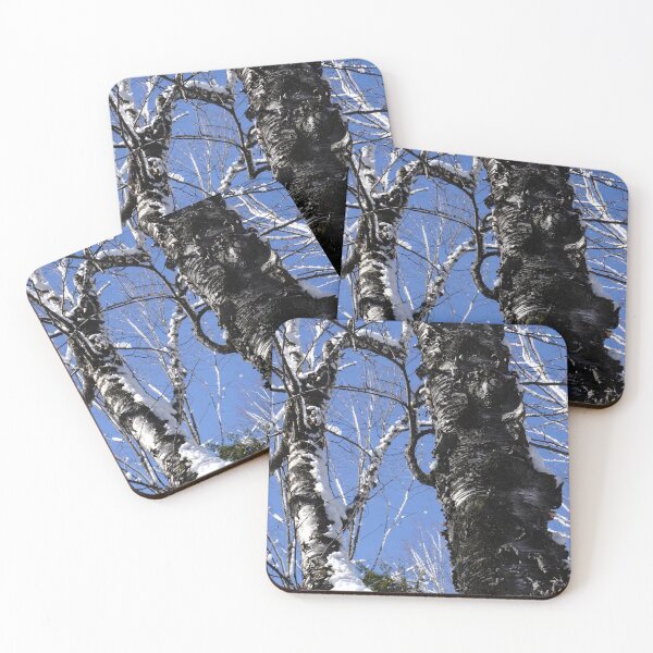 Item preview, Dark winter trees and a bright blue Canadian sky designed and sold by cuisinecat2.
