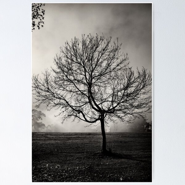 Item preview, Winter tree designed and sold by Robyn Lakeman.