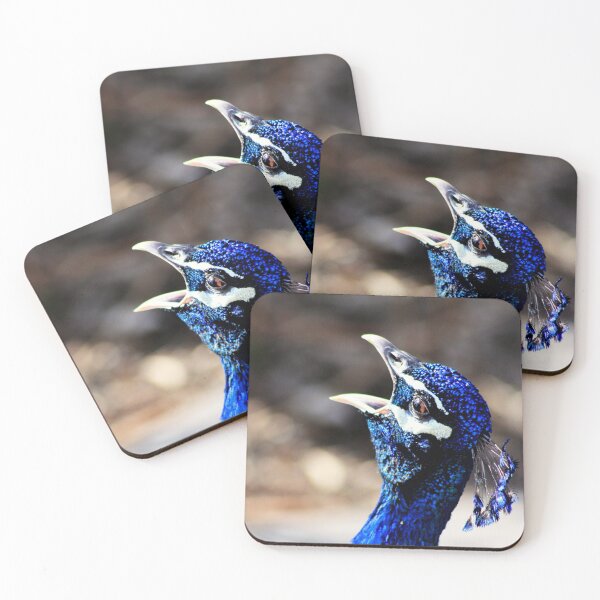 Item preview, Singing for the Crowds designed and sold by Alyce Taylor.
