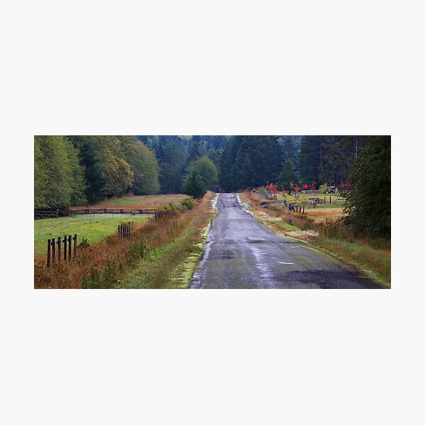 Merryman Road in October Photographic Print