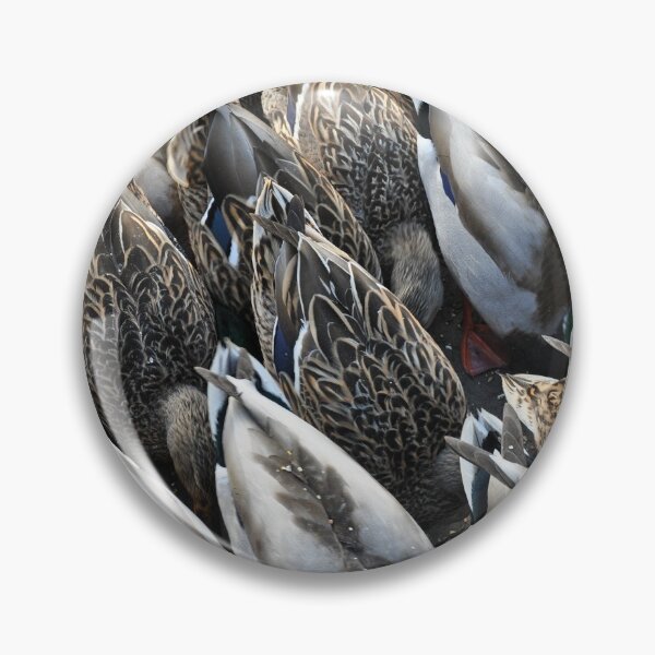 Item preview, Mallard duck tails designed and sold by perlphoto.