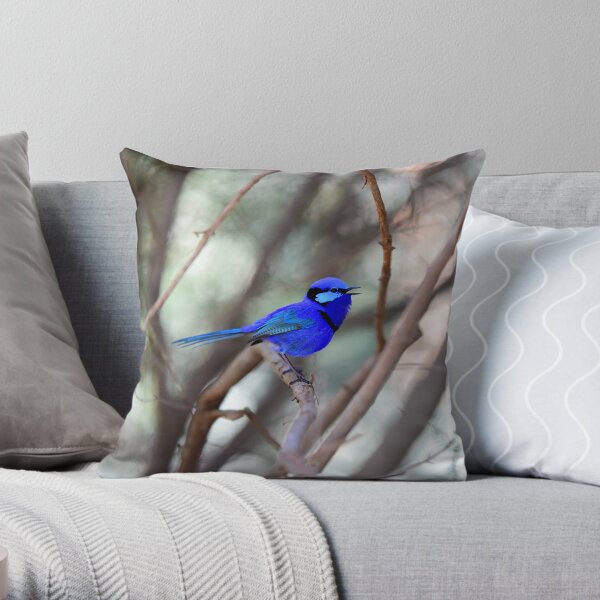 Splendid Blue Fairy Wren Singing Throw Pillow