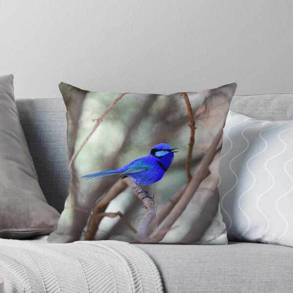 Item preview, Splendid Blue Fairy Wren Singing designed and sold by Monika-J-Wright.