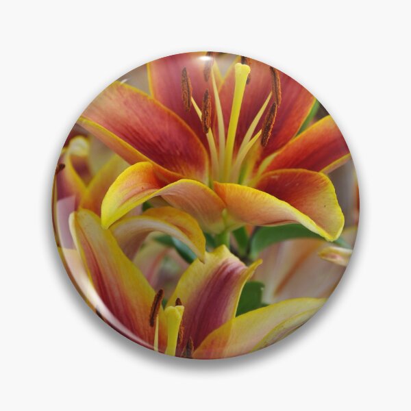 Item preview, Orange tiger lilies designed and sold by perlphoto.