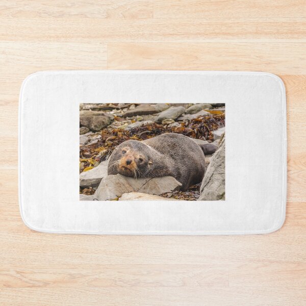 Item preview, Resting Seal designed and sold by Werner Padarin.