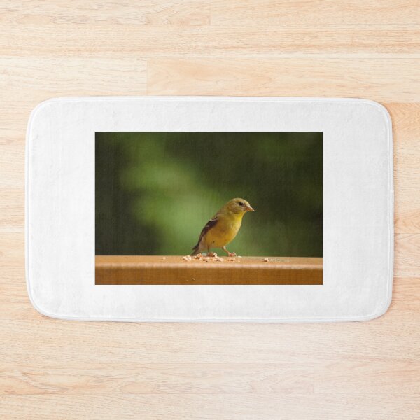 Item preview, Finch sitting on railing designed and sold by rodmacpherson.
