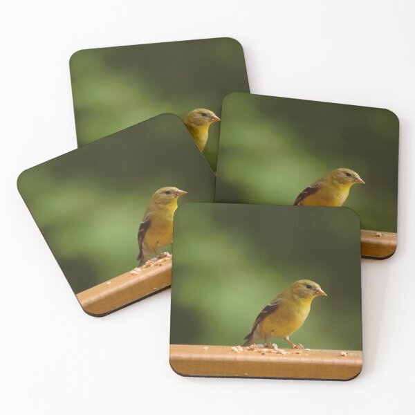Item preview, Finch sitting on railing designed and sold by rodmacpherson.