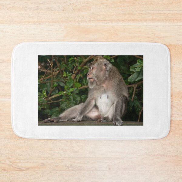 Item preview, Alert designed and sold by Werner Padarin.
