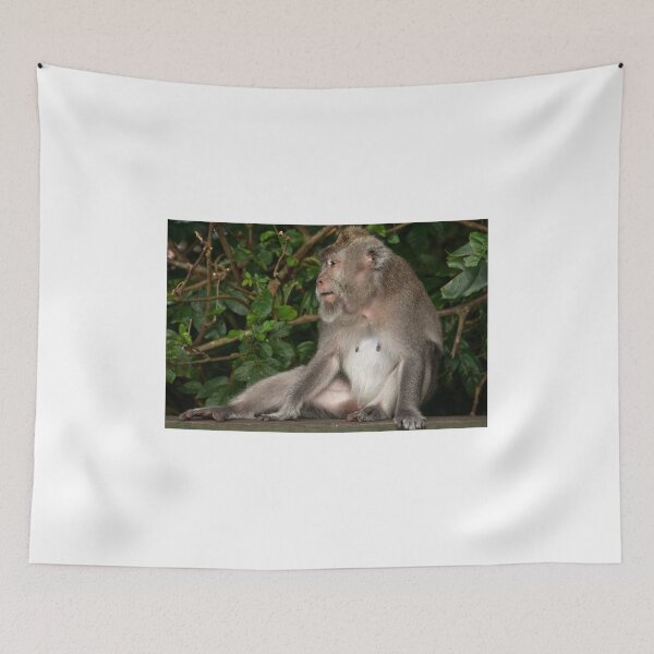 Item preview, Alert designed and sold by Werner Padarin.
