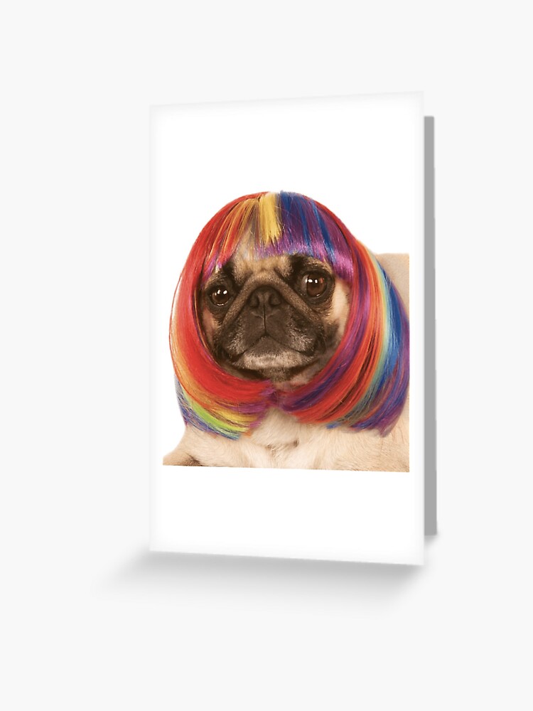 pug with red wig