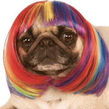 Pug with red wig best sale