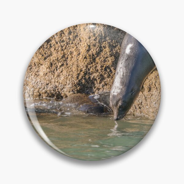 Item preview, Seals at play 2 designed and sold by Werner Padarin.