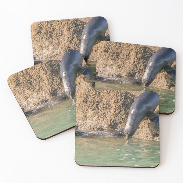 Item preview, Seals at play 2 designed and sold by Werner Padarin.