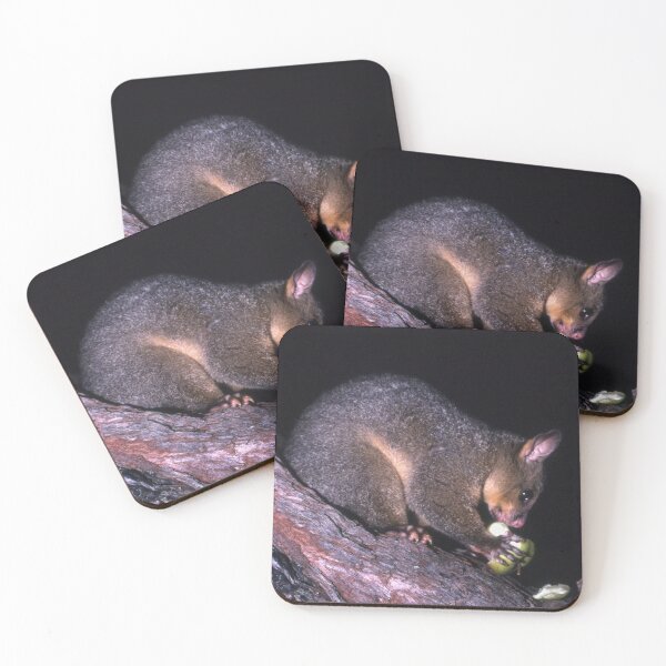 Item preview, Possum designed and sold by Werner Padarin.