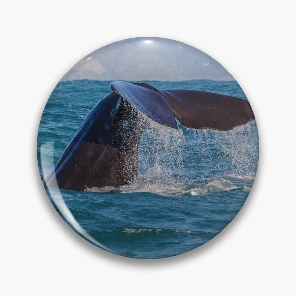 Item preview, Whale Diving 3 designed and sold by Werner Padarin.