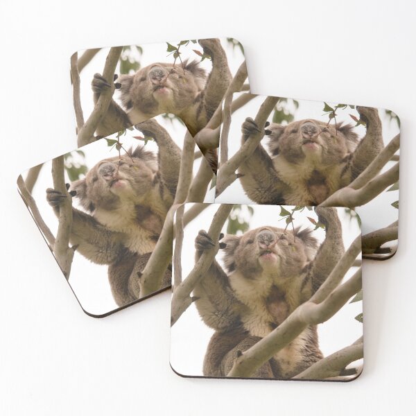 Item preview, Koala 2 designed and sold by Werner Padarin.
