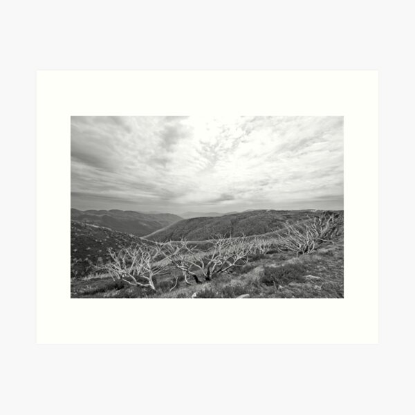 Item preview, Falls Creek 1 - Black and White designed and sold by pennyswork.