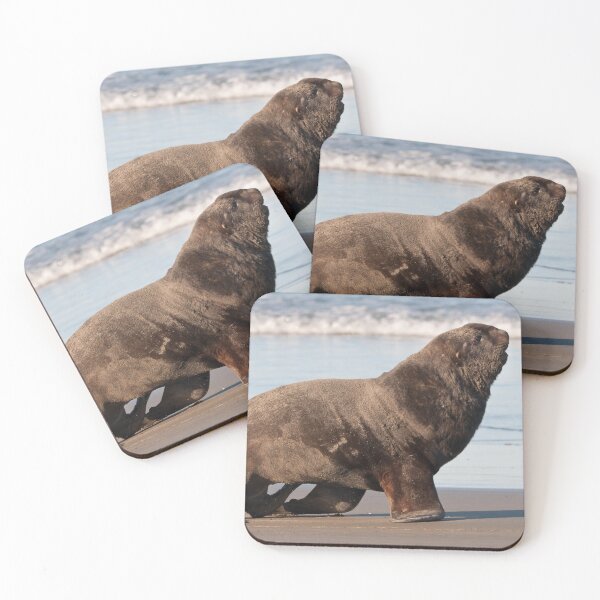 Item preview, New Zealand Sea Lion 2 designed and sold by Werner Padarin.