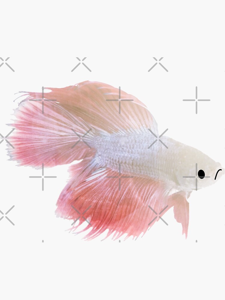 Sad Fish by mydabug