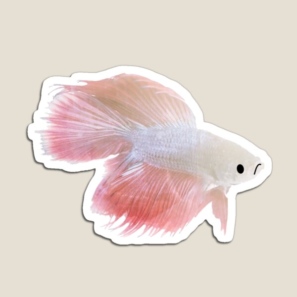 Sad Fish Magnet