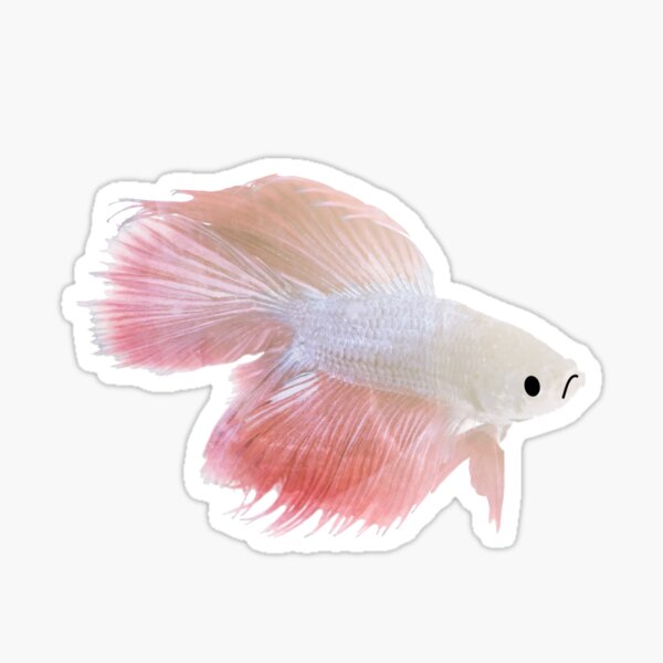 Sad Fish Sticker