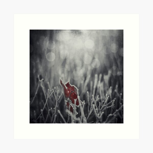 Item preview, maple leaf hoarfrost designed and sold by Dyrk Wyst Redbubble Shop.