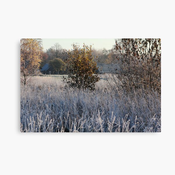 Farmstead in first frost day in autumn Canvas Print