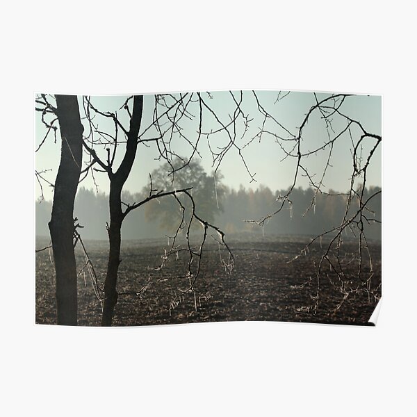 First frost on tree branches Poster
