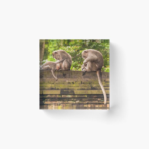Item preview, Temple Monkeys ** designed and sold by Werner Padarin.