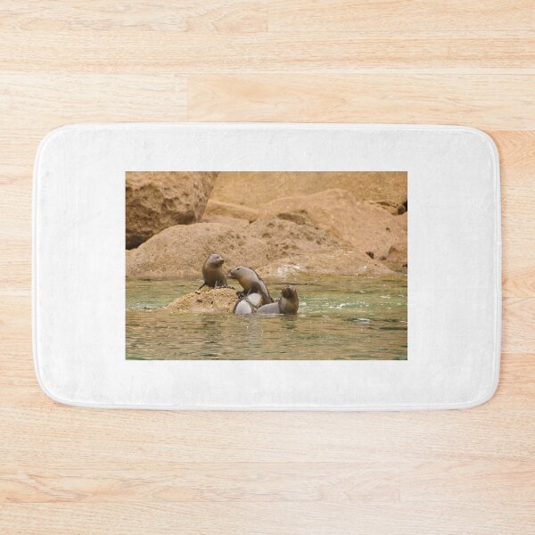 Item preview, Seal Cubs at Play 2 designed and sold by Werner Padarin.