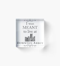 I was MEANT to live at Downton Abbey Acrylic Block