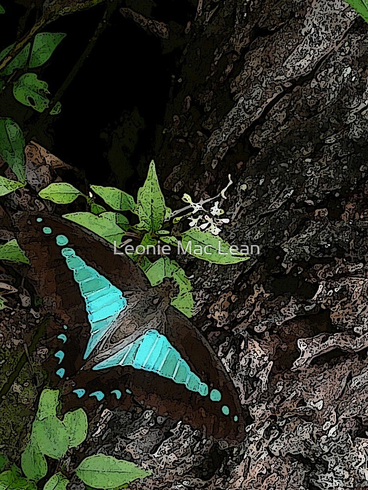 Rainforest Butterfly by yallmia