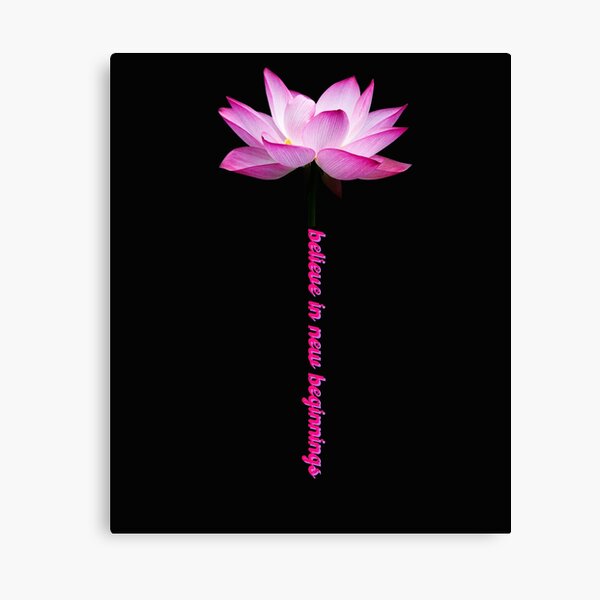 Lotus Flower - believe in new beginnings Canvas Print