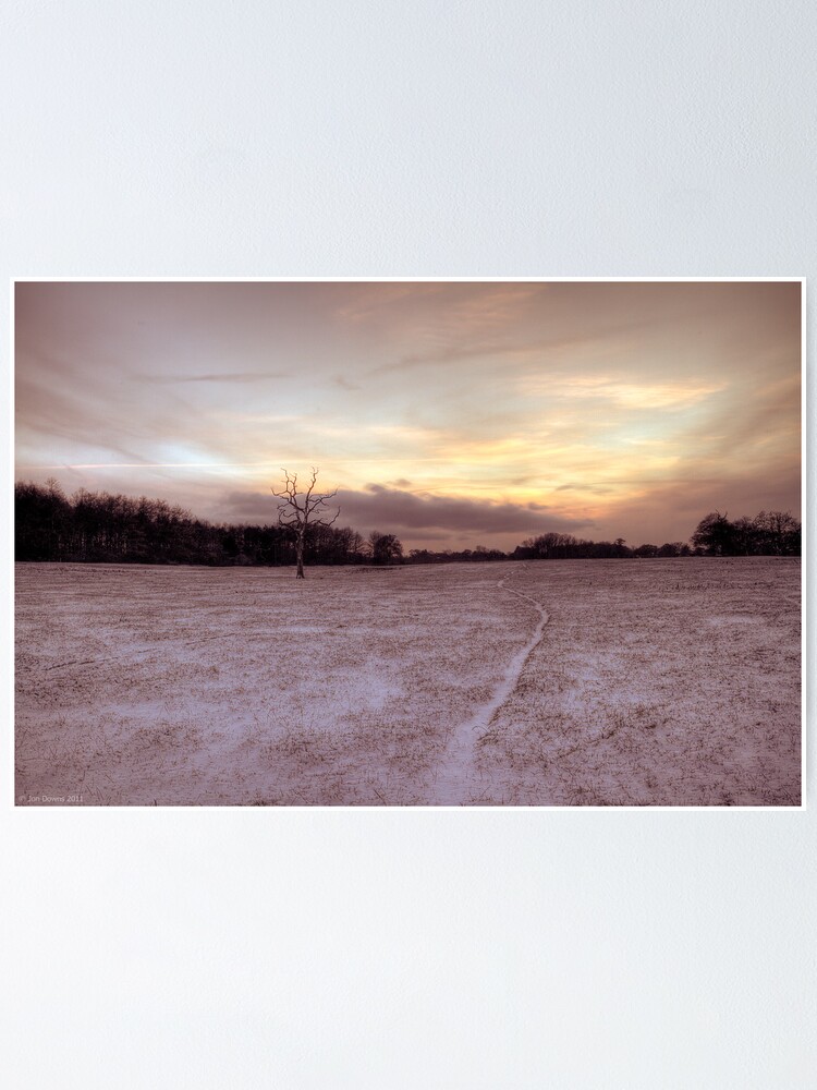 Alternate view of snow way Poster