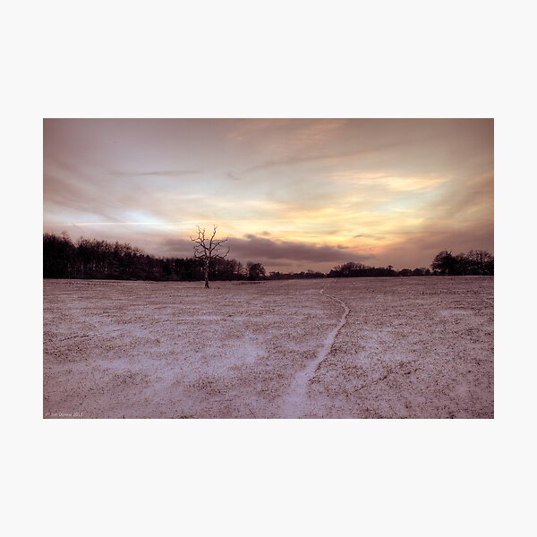 snow way Photographic Print