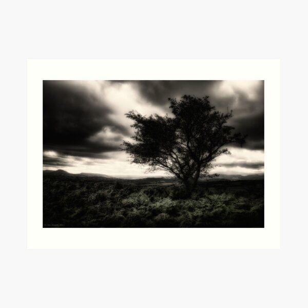 once upon a hill Art Print