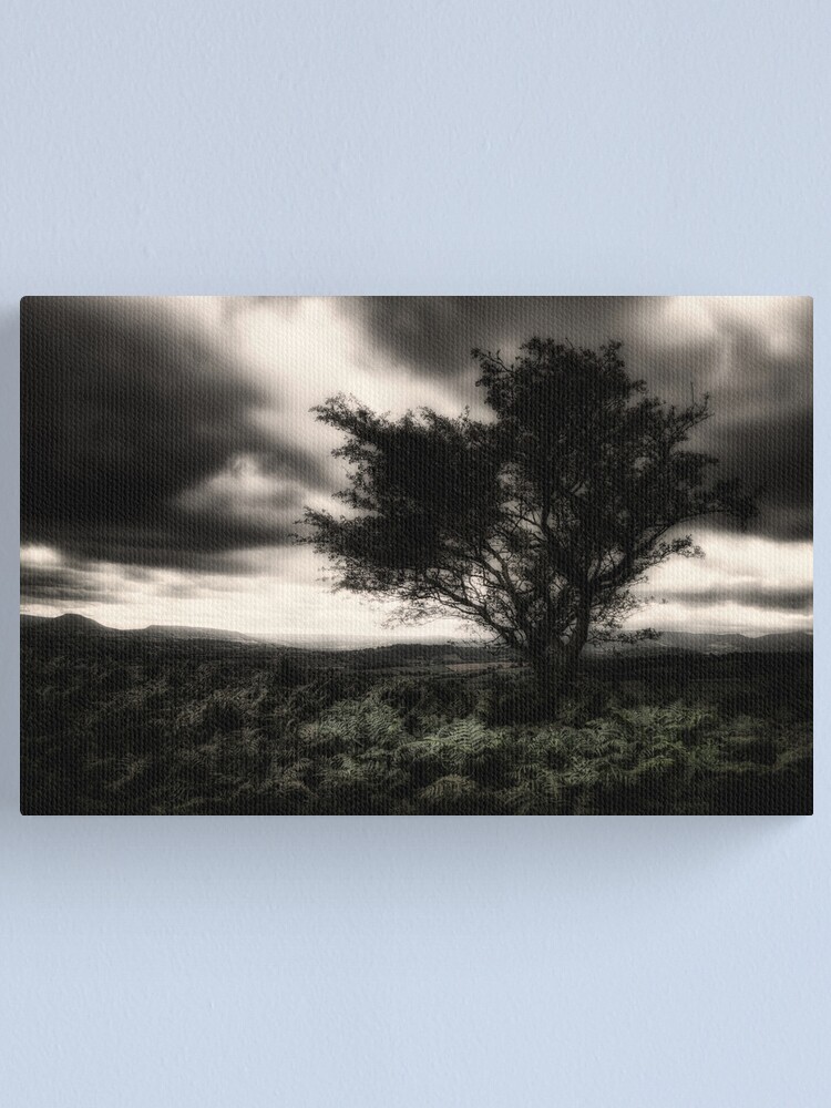 Alternate view of once upon a hill Canvas Print