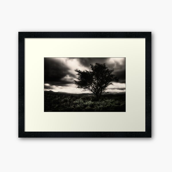 once upon a hill Framed Art Print