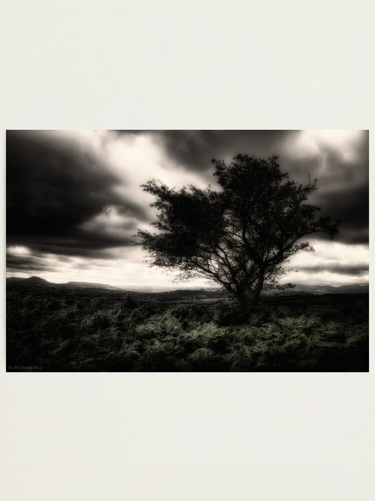 Alternate view of once upon a hill Photographic Print