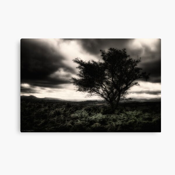 once upon a hill Canvas Print
